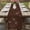 Brown, variant on Table Runner 60 Inches Long for Kitchen Dining, Brown Floral Dresser Scarf Farmhouse, Dining Table Decorations for Wedding/Parties, Spring Flower 13 x 60 In