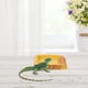 thumbnail image 4 of IFANLANDOR Para De Reptiles En Resina Con Natural Para Terrarios, 4 of 6