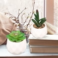 thumbnail image 5 of Home decorations fleshy ceramic pots-mini fleshy with diamond - Style1, 5 of 5