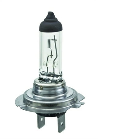 Hella 12V/55W Halogen Standard Bulb H7 - Walmart.com