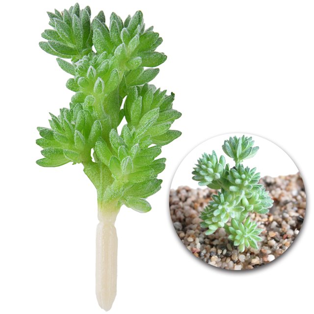 Coofit Artificial Succulent Creative Fashion Decorative Artificial Plant Faux Succulent