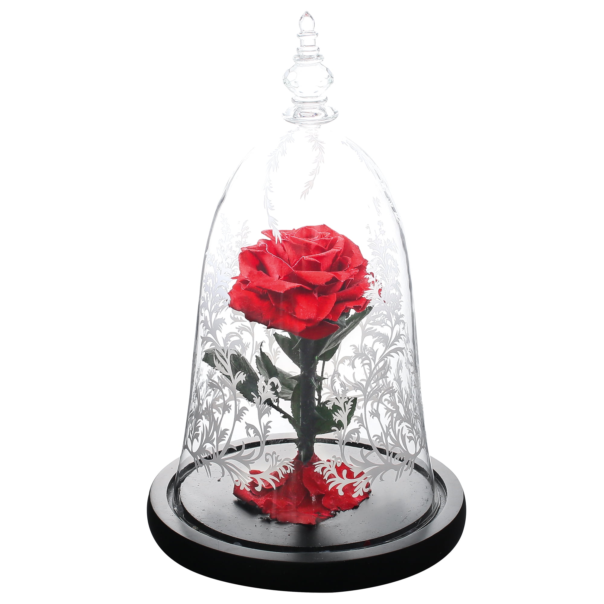 Enchante Real Preserved Forever Rose 11 Led Light Beauty And The Beast Eternity Flower Mothers Day Valentine S Day Gift Walmart Com