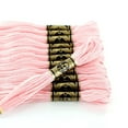 thumbnail image 2 of DMC Six-Strand Cotton Embroidery Floss 8 m (8.7 yd), Pink, 2 of 3