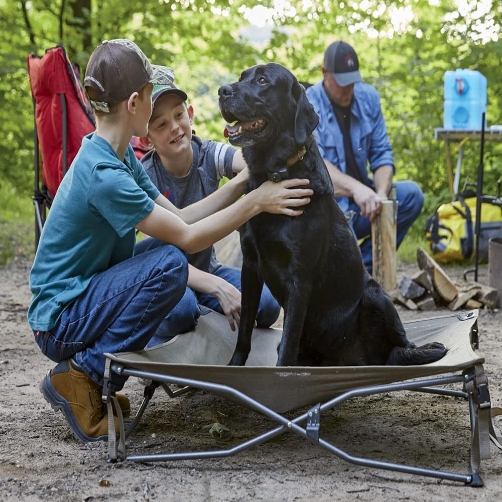 Guide Gear Dog Bed With Elevated Bed Frame, Raised Outdoor Pet Couch