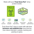 thumbnail image 4 of LEGION Whey+ Proteína Aislada de Suero de Vacas Alimentadas con Pasto - Proteína de Suero en Polvo Aislado Bajo en Calorías, Sin OGM, Sin Azúcar, Lactosa y Sin Gluten, Proteína en Polvo Totalmente Nat, 4 of 5