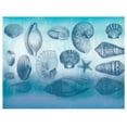 thumbnail image 2 of Allen, Candace 32x26 White Modern Wood Framed Museum Art Print Titled - Watercolor Coast Shells, 2 of 4