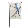 thumbnail image 1 of KDAGR Watercolor Bird Blue Jay Brown Paint Watercolour Tree Branch Audubon Garden Flag Decorative Flag House Banner 12x18 inch, 1 of 2