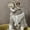 54#A, variant on Vintage Fleece Lamb Wool Pet Hoodie Set, 2-Piece Warm Outfit with Matching Hat, Adjustable Elastic Cuffs, Leash Hole Machine-Washable, for Dogs Cats Cold Weather
