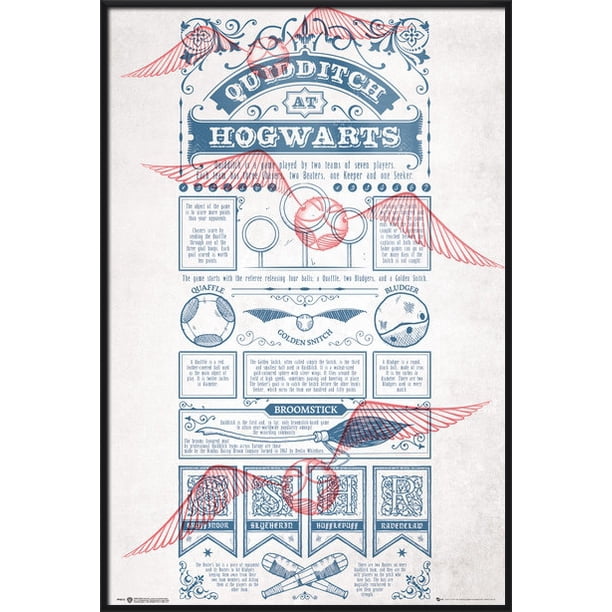 Harry Potter - Framed Movie Poster / Print (Quidditch At Hogwarts -  Infographic & Rules) (Size: 24" x 36") - Walmart.com