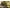 Camo Floral, variant on Boulder Creek By Kingsize Men's Big & Tall  Short Sleeve Shirt