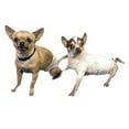 thumbnail image 5 of XS Extra Small Dog Diapers, 5 of 5