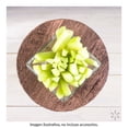 thumbnail image 4 of Bastones de pepino Naturalmente Express por pieza, 4 of 4