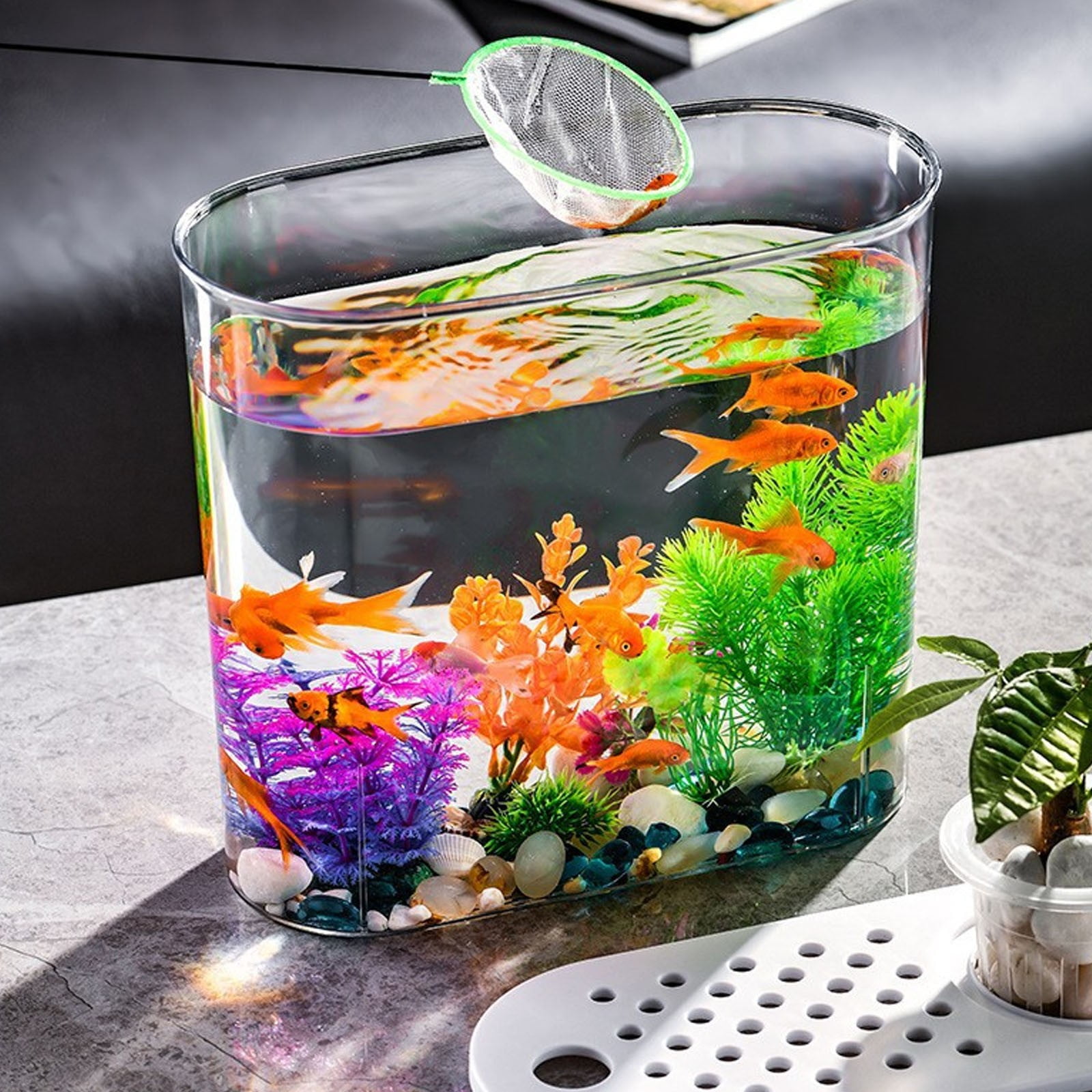 Desktop Aquarium Fish Bowl Multiuse Aquatic Pet Case Terrarium Fish Tank Box for Office Living Room Home Lizards Hermit Crabs, White Lid,fish tank aquarium,salt water fish tank aquarium kit