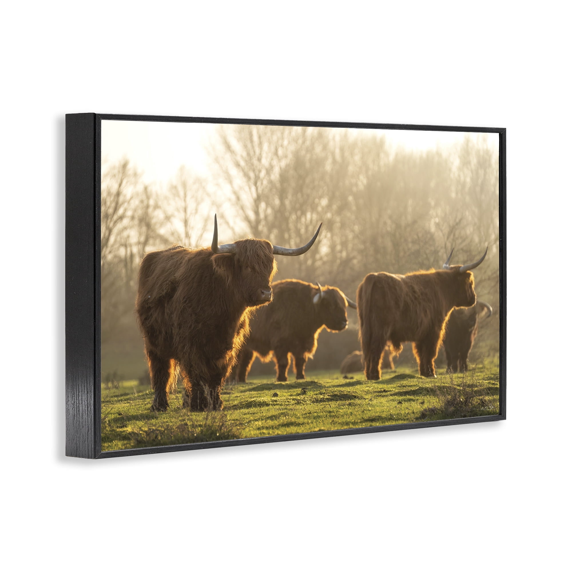 Stupell Industries Longhorns in Foggy Pasture Animals & Insects Photography Black Framed Art Print Wall Art, 24 x 16