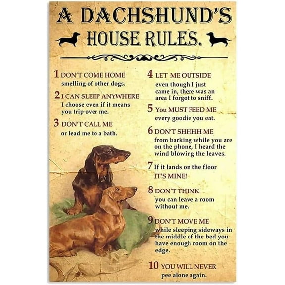 Funny Dachshund House Rules Metal Sign Vintage Aluminum Poster for Dog Lovers Home Decor Wall Art 8x12 Inch with 10 Hilarious Dog Rules Perfect for Kitchen Living Room or Porch