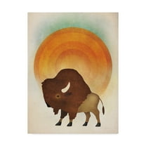 Trademark Fine Art 'Blazing Sun Bison' Canvas Art by Ryan Fowler