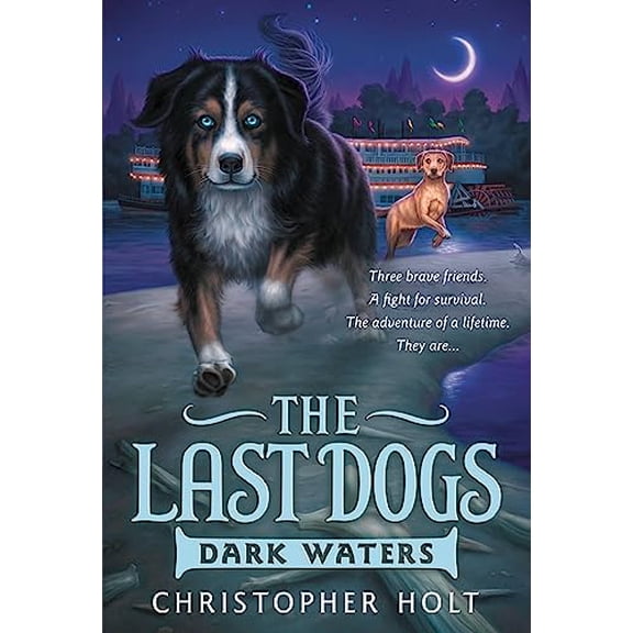 Pre-Owned Dark Waters (Paperback) 0316200093 9780316200097