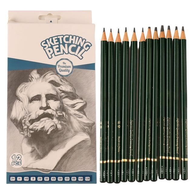 12 Pcs Kit de Crayons à Dessin 12B à 2H Crayon Graphite pour Enfants Adultes Débutants Dessin
