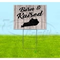 thumbnail image 1 of Born & Raised Kentucky (18" x 24") Yard Sign, Includes Metal Step Stake, 1 of 6