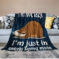 thumbnail image 4 of Yibo Panda Gifts for Girls Boys Blanket Flannel Soft and Comfortable Anti-static Bed Sofa Blanket, 4 of 9