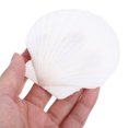 thumbnail image 4 of EeaseMX 10 piezas de conchas de vieira blancas, conchas marinas grandes de concha natural, material para manualidades decorativas, 4 of 7