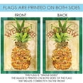 Toland Home Garden Pineapple House Flag