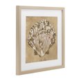 thumbnail image 3 of Stupell Industries Earthtone Clam Shell Birch Framed Print Under Glass design by June Erica Vess, 16 x 16, 3 of 10