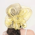 thumbnail image 2 of Dressy Hats for Women, Comdrip Organza Church Fascinator Wedding Tea Party Derby Hats for Women Flower Women's Floral Mesh Hat Sunshade Beach Hat Sun Block Hat Womens Derby Hats Khaki One Size, 2 of 5