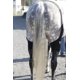 thumbnail image 4 of Par de Fajas para Articulación de la Rodilla del Caballo con 4 Paquetes de Hielo Reutilizables, 4 of 5