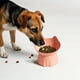 thumbnail image 5 of Peine autolimpiable para gatos y perros,desenredante y eliminador de pelo suelto con un solo botón,peine de dientes densos para mascotas,herramienta de aseo para gatos y perros, 5 of 8