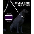 thumbnail image 2 of zalens Dog Leash Double Handle 5ft Long, Padded Traffic Handle and Reflective, Purple, 2 of 5