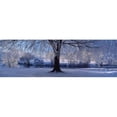 thumbnail image 1 of Panoramic Images PPI45216L Affiche Panoramic Images Winter Trees Perkshire Scotland Imprimée - 36 x 12, 1 of 1