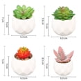 thumbnail image 2 of Laklulu Plantas en macetas con forma-Decoraciones de oficina plantas en macetas, 2 of 5