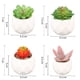 thumbnail image 2 of Plantas en maceta con formas-Decoraciones de oficina plantas en maceta Vhermosa CPB-YL619-4, 2 of 5