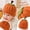Saffron, variant on Pumpkin Knit Hat for Halloween, Warm and Thick Winter Hat , Cute Fall Knitted Cap, Halloween Costumes Blue