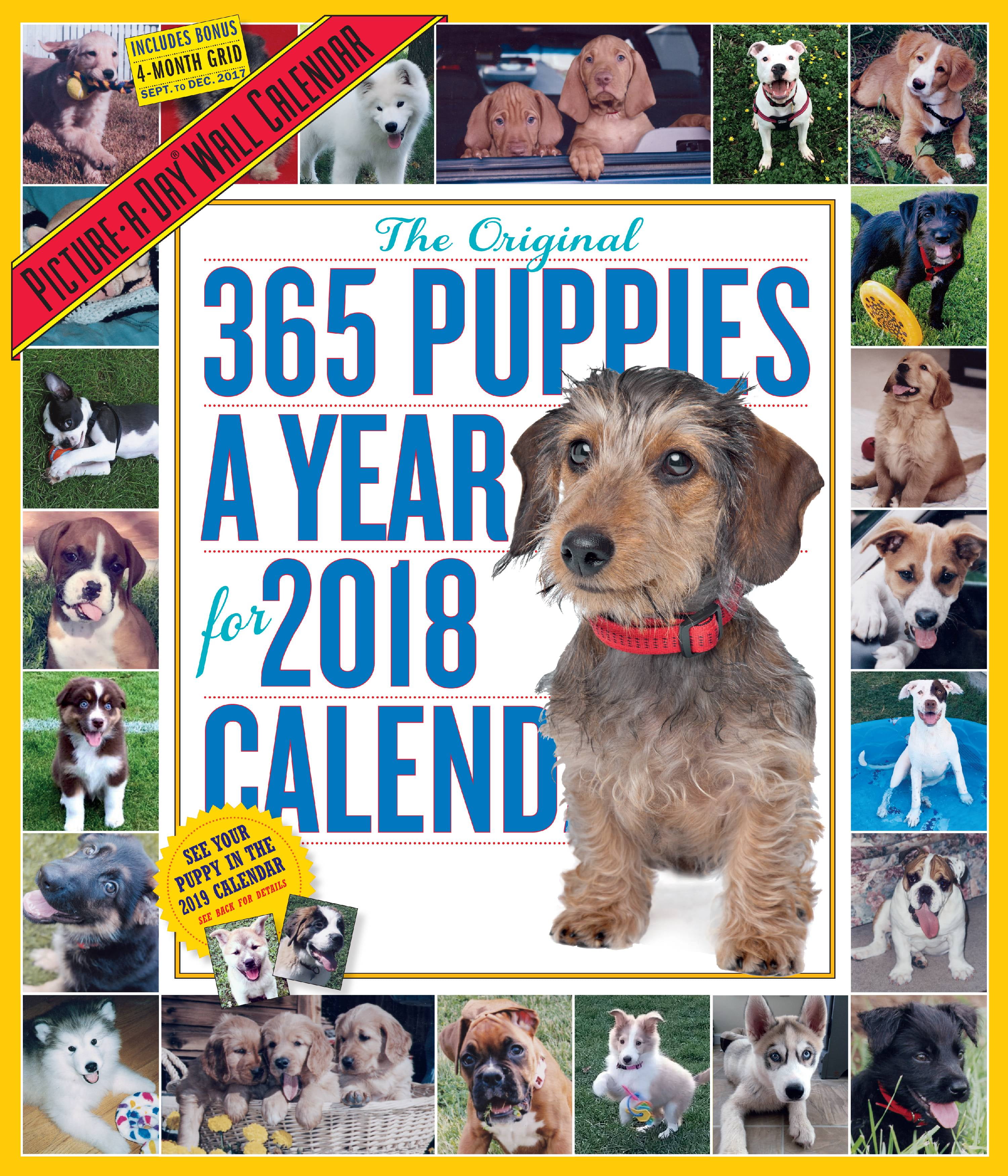 365 PuppiesAYear PictureADay Wall 2018