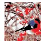 thumbnail image 3 of Kits de Pintura Sin Mc Números, Póster de Ped pa Decoración de Bricolaje de Oficina en Árbol de pájo BLESIY Cuadro de pintura al óleo, 3 of 6
