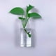 thumbnail image 4 of Wosthever Maceta de flor para colgar en la pared de amplia aplicación con maceteros de vidrio para colgar en la pared duraderos y resistentes Jardín y Patio, 4 of 6