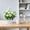 White-WH, variant on MMJ Artificial Flowers Small Potted Plant 7.1x4.7x3.1in Faux Foliage in Fence Planter for Desk Shelf