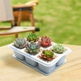 thumbnail image 4 of Amacok Mini Succulent Planters, Plant Containers for Succulent Cactus Flower, Indoor Outdoor Succulent Plant Pots with Tray, for Office, Desk, Window, 4 of 5