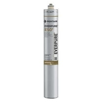 Everpure Quick Connect Filter, 0.5 gpm, 5 Micron, 3" O.D., 21 in H EV960725-75
