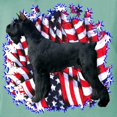 thumbnail image 3 of CafePress - Giantschnauzerpatriot Women's Comfort Colors® T Shirt - Womens Comfort Colors® Shirt, 3 of 4