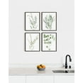 thumbnail image 6 of HAUS AND HUES Framed Botanical Prints - Set of 4 Framed Plant Pictures Wall Art, Botanical Decor, Eucalyptus Decor, Plant Wall Decor, Framed Plant Print (16x20, Black Framed), 6 of 6