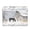 Black Horse and an Old Barn, variant on Large Fliplid Foldable Storage Bin Boxes Cubes Baskets with 2 Handles for Clothes Books 16.5x12.6x11.8 Inch Magnificent Sunset Scene