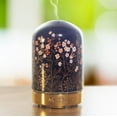 thumbnail image 4 of Kit de démarrage Diffuseur d'huiles essentielles de ScentSationals -Blush Blooms, 4 of 5