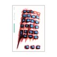 thumbnail image 1 of CAROOTU Halloween Stickers Waterproof Simulation Scratches Scars Bite Marks Simulation Fake Wound Tattoo, 1 of 7