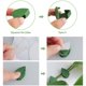 thumbnail image 3 of 30Pcs Clips De Plantas Para Plantas Trepadoras Invisible En Forma De Hoja Wall Vine Holder Muyoka Hogar, 3 of 7