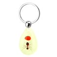 thumbnail image 1 of Toystoory Luminous Insect Keychain Resin Car Glowing Handbag Keyring Chain Ring Pendant Key Jewelry Backpack for Woman Man Suministros de limpieza para el hogar No. 4 Toystoory HA044516-04, 1 of 6