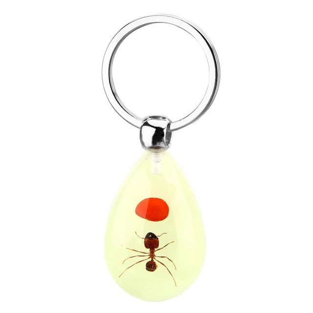 Toystoory Luminous Insect Keychain Resin Car Glowing Handbag Keyring Chain Ring Pendant Key Jewelry Backpack for Woman Man Suministros de limpieza para el hogar No. 4 Toystoory HA044516-04