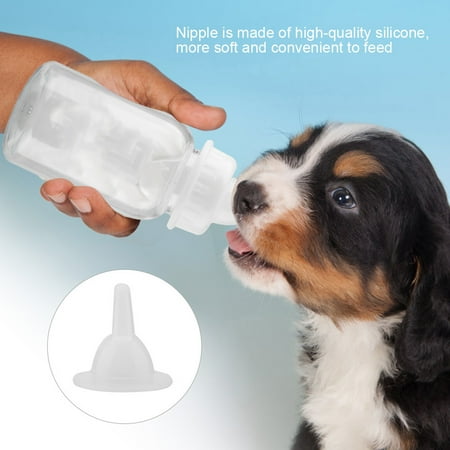 Walfront Kit De Biberon D Allaitement Pour Chiots Chatons Kit D Alimentation Biberons A Lait Pour Petits Animaux De Compagnie 125 Ml Walmart Canada